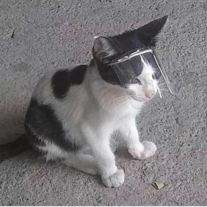 Meet your Posher, Alejandro